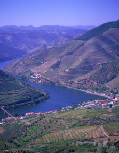 Famous Alto Douro wine region (Portugal)